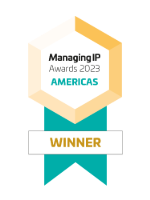 Managing IP Awards 2023 Americas - Joseph Re